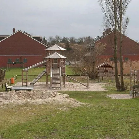 Seestern Borkum